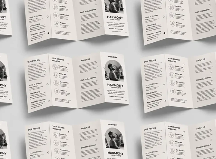 Trípticos y material informativo